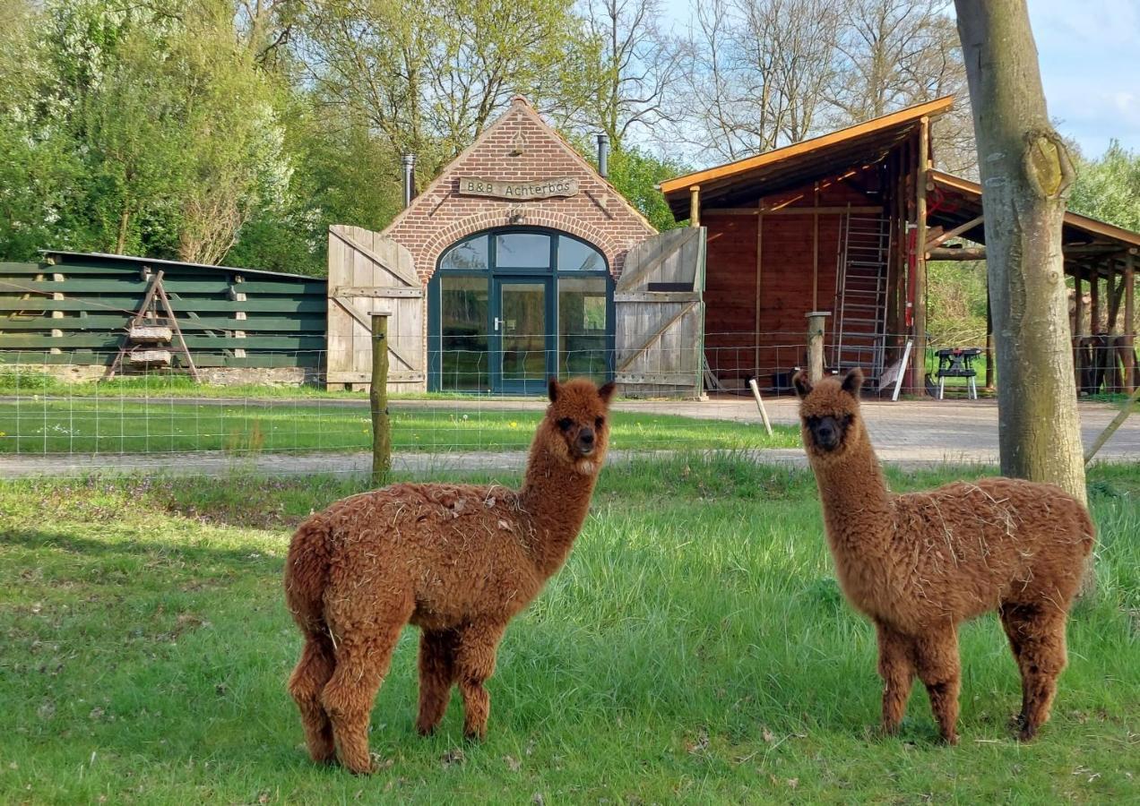 Holiday Home Achterbos Sint-Oedenrode ภายนอก รูปภาพ